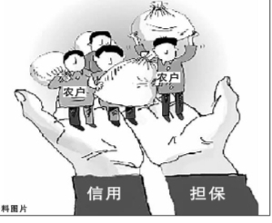 助推现代农业需破解担保难题